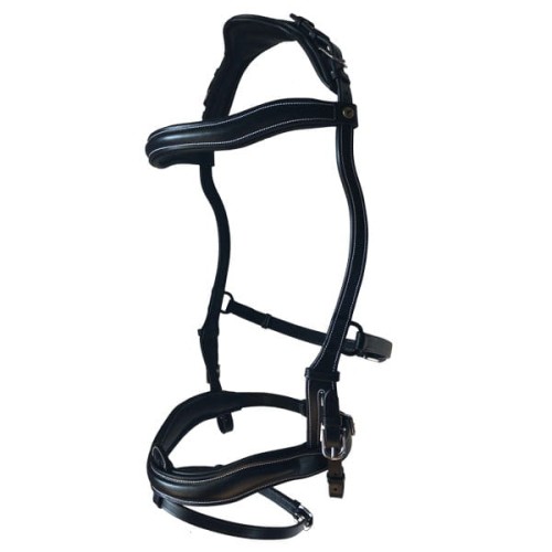 Pariani Ergonomica