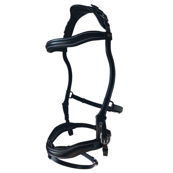 Pariani Ergonomica