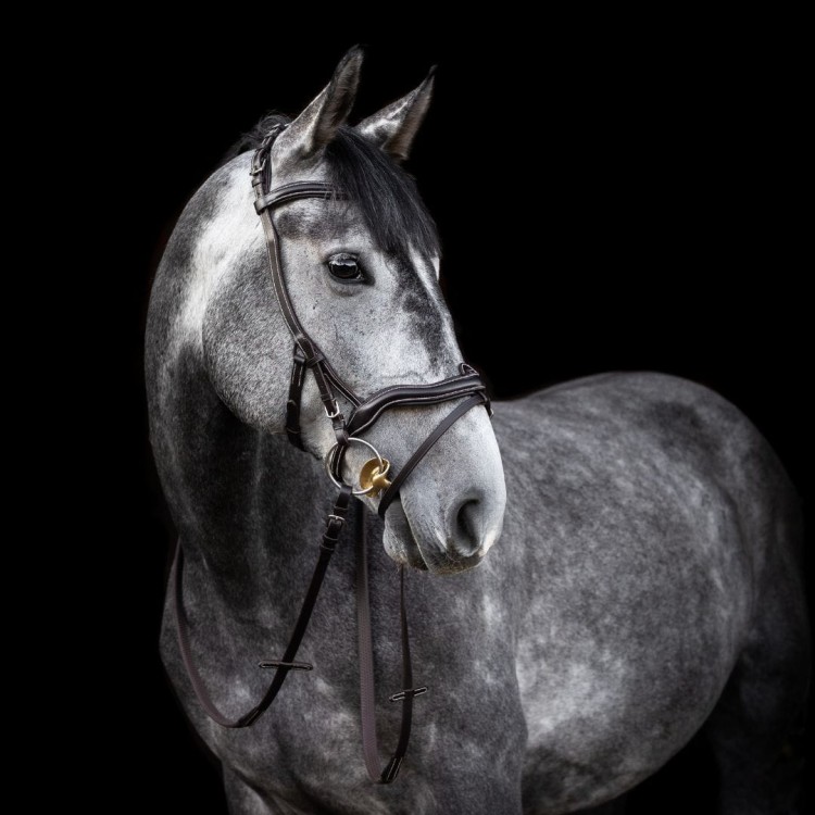 Pariani Ergonomica