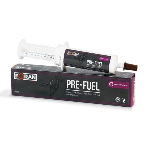 Pre-fuel gel