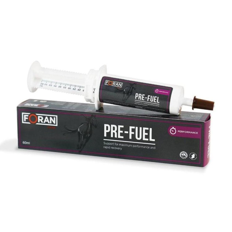 Pre-fuel gel