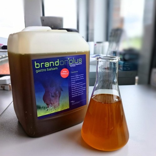 Brandon Plus Gastro Balsam