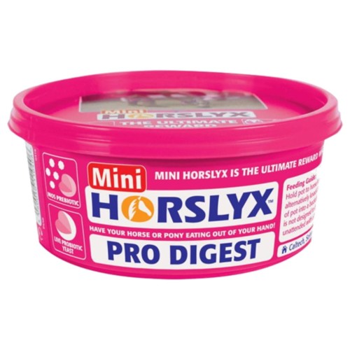 Horslyx Digestion lizawka witaminowa