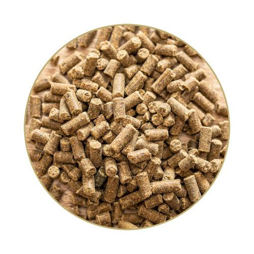 St. Hippolyt Magnesium B12