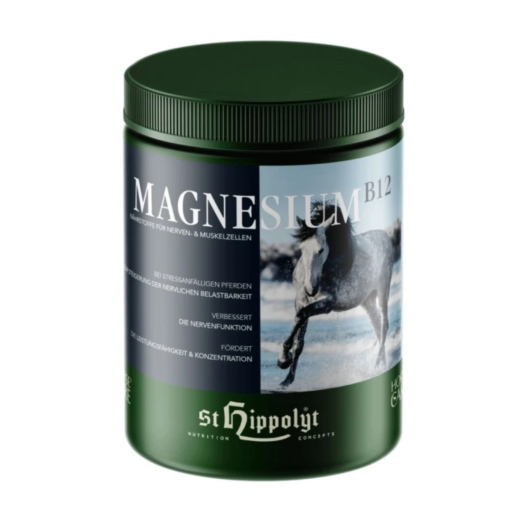 St. Hippolyt Magnesium B12