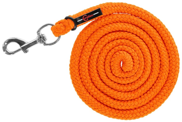 Uwiąz z karabińczykiem Covalliero Hippo