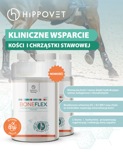 Hippovet Pharmacy Boneflex Nano