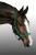Kantar Canter Club Basis