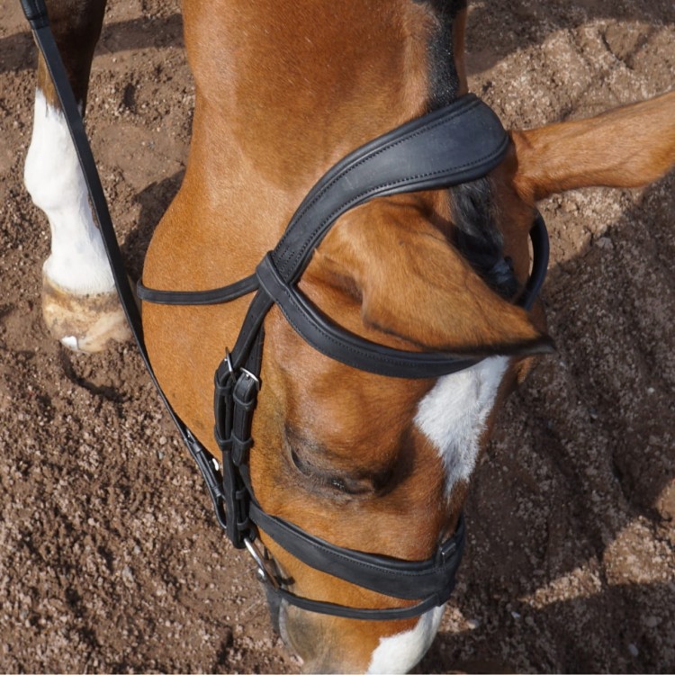 Ogłowie GFS Combi Dressage
