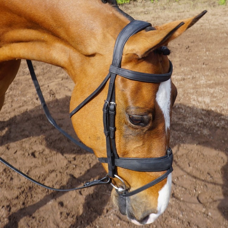 Ogłowie GFS Combi Dressage