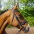Ogłowie GFS Combi Dressage