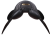 IMG_4296w.png