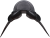 1w_pXYPH5X.png