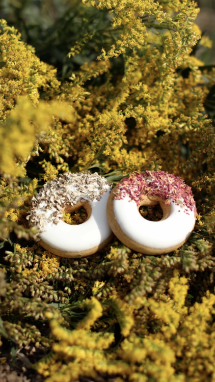 Donuty płatki róży i porost islandzki Candy Horse