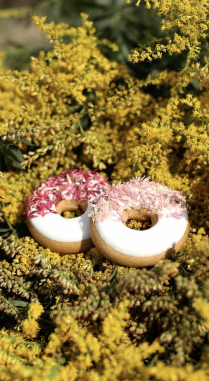 Donuty chaber różowy i czerwony Candy Horse