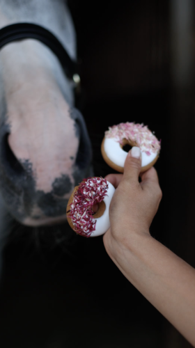Donuty chaber różowy i czerwony Candy Horse
