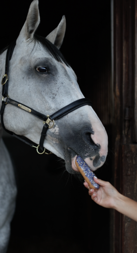 Ekler z chabrem niebieskim Candy Horse