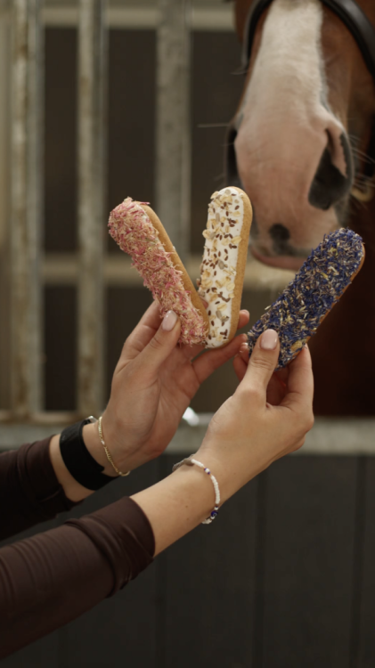 Ekler z chabrem niebieskim Candy Horse