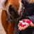 Beziki Walentynkowe Candy Horse