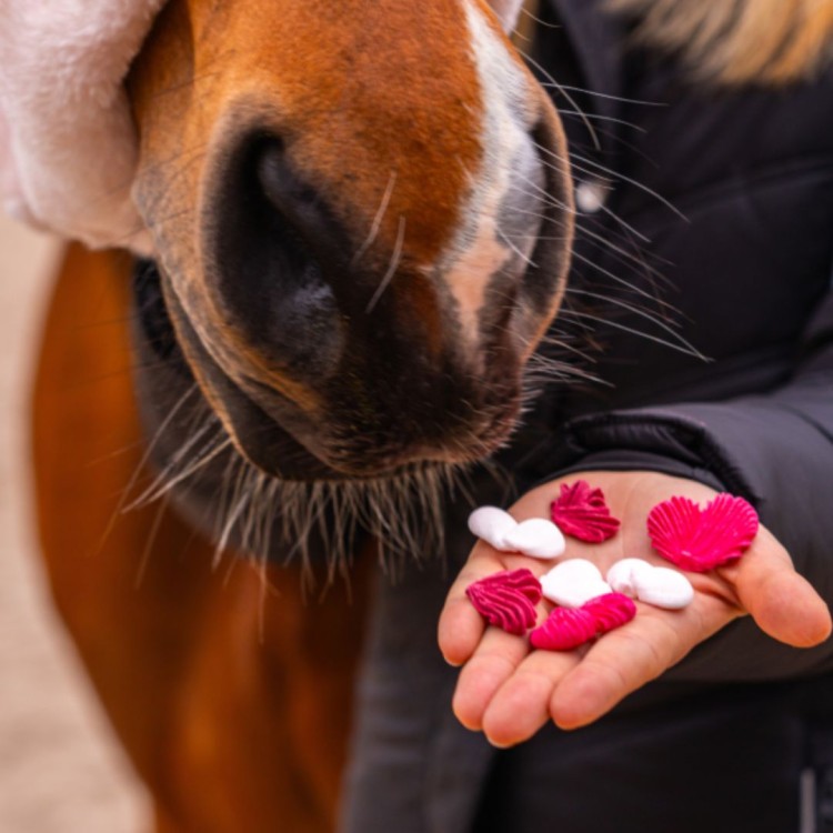 Beziki Walentynkowe Candy Horse