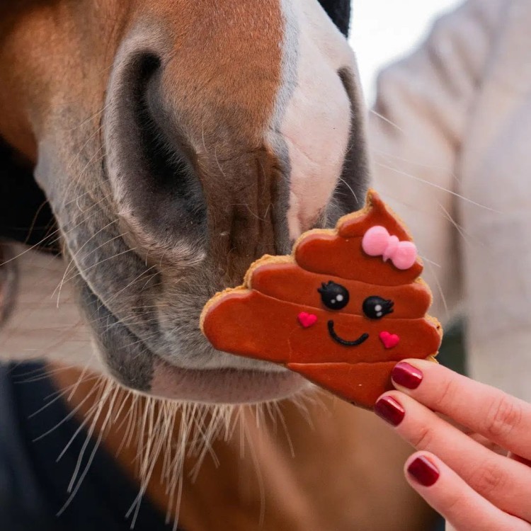 Ciastko Walentynkowe Candy Horse Emoji