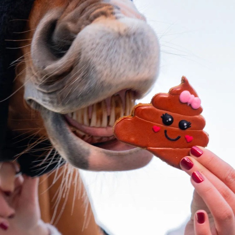 Ciastko Walentynkowe Candy Horse Emoji