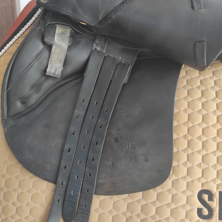 Siodło wszechstronne Albion Selecta 18"