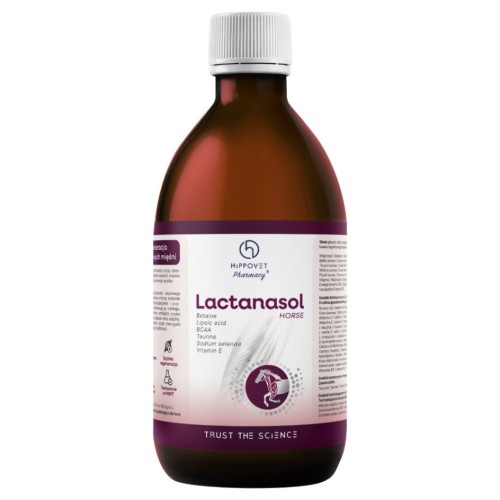 St. Hippolyt Lactanasol - syrop redukujący skutki zakwaszenia mięśni