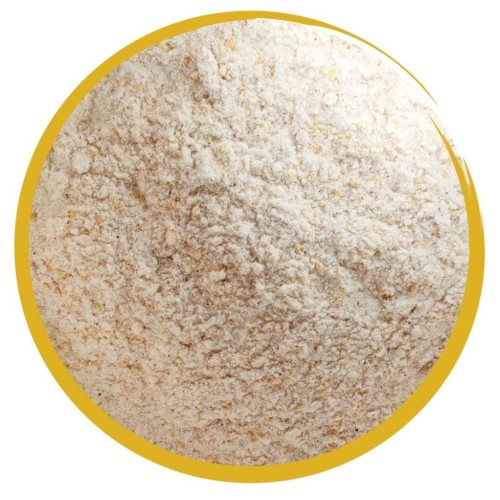 Mebio Biocell Senior Probiotic probiotyk dla koni starszych 1 kg