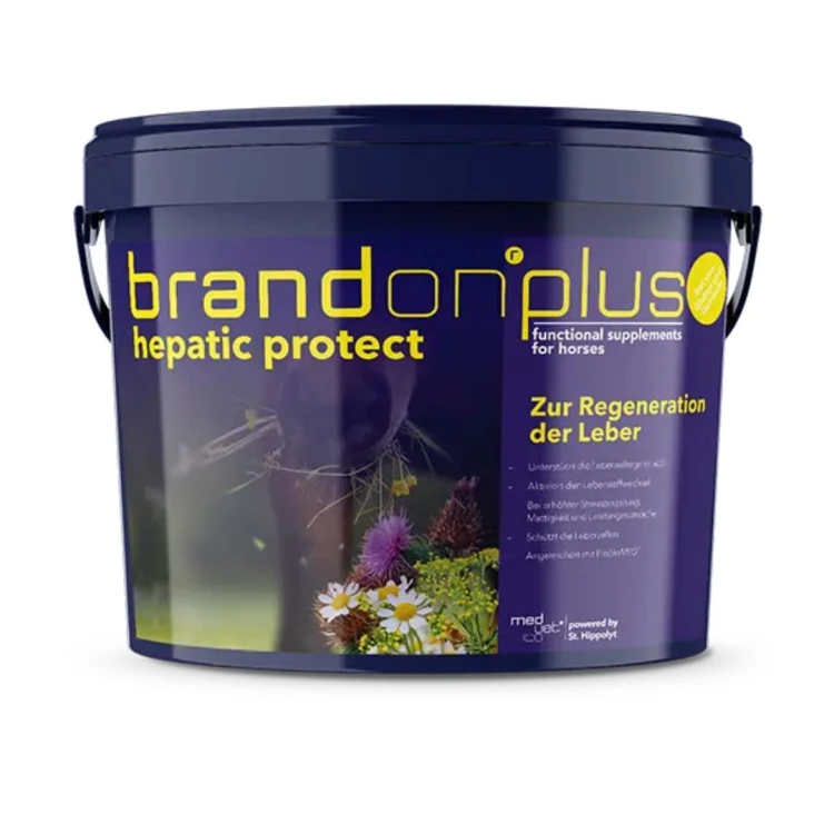 Brandon Hepatic Protect 3 kg