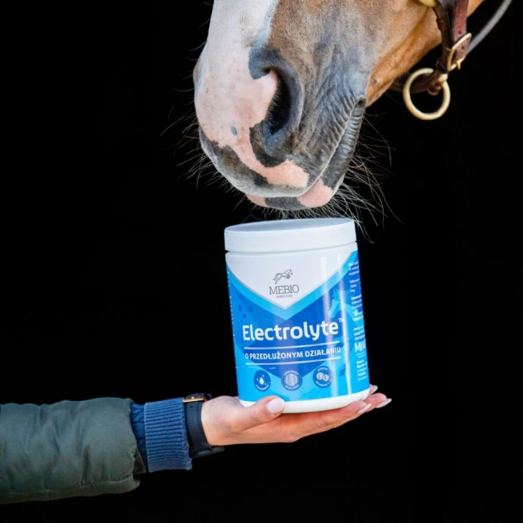 Mebio Electrolyte + elektrolity o przedłużonym działaniu