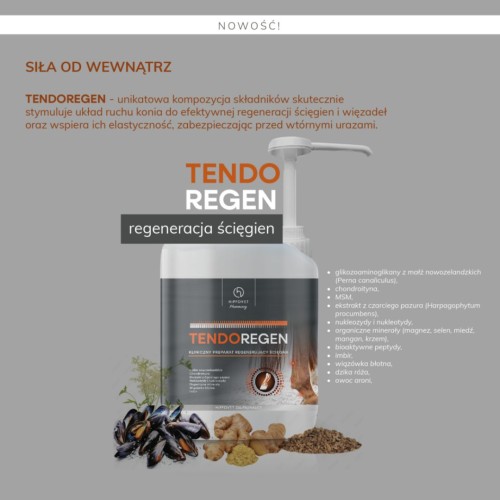 Hippovet Pharmacy TendoRegen – suplement wzmacniający i wspierający regenerację ścięgien 2,5l