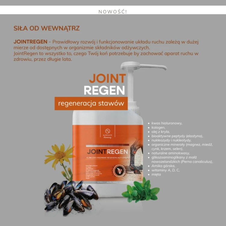 Hippovet Pharmacy JointRegen – suplement odżywiający aparat ruchu 2,5l