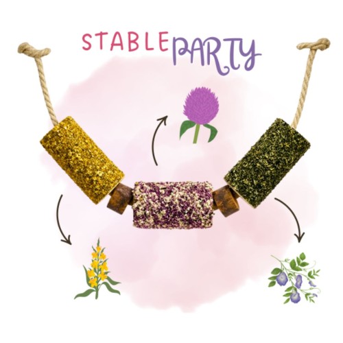 Stable Party Gryzak Drewniany Ziołowy Candy Horse