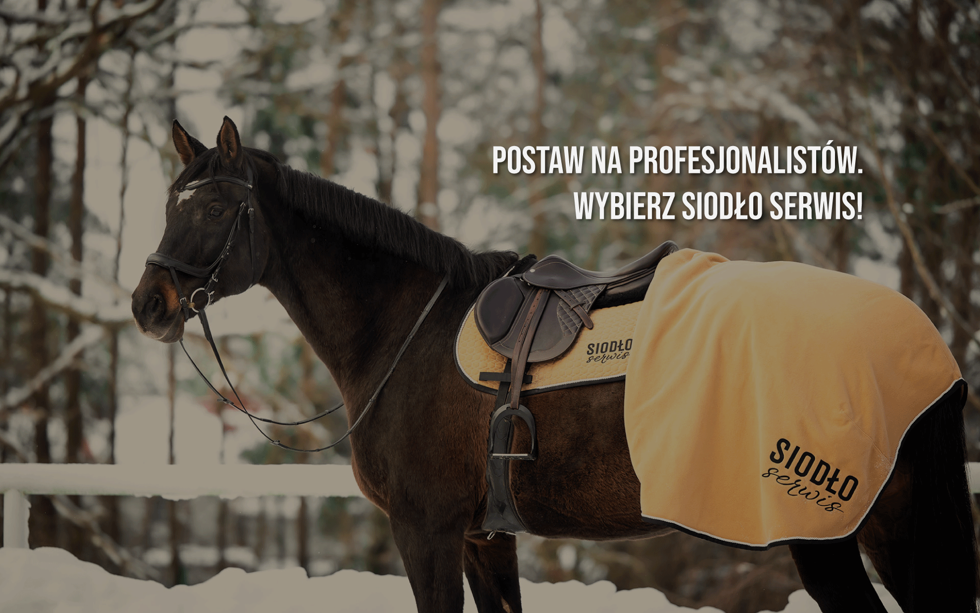 Koń w sprzęcie z logo sklepu i napis: Postaw na profesjonalistów. Wybierz Siodło Serwis!